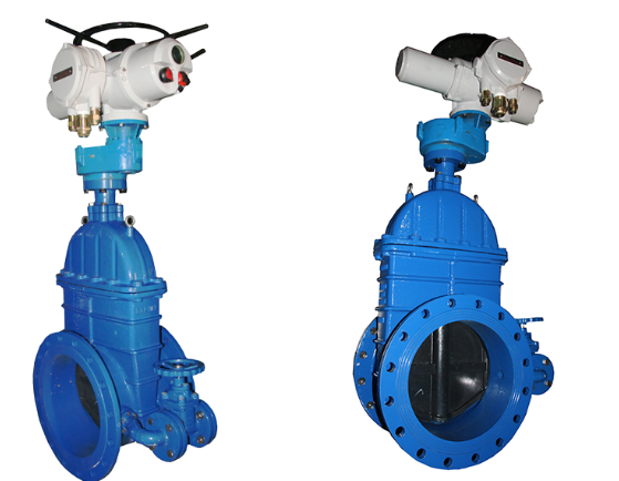 product-559-434 product-559-434