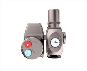 Motorized Modulating Valve rau Bernard